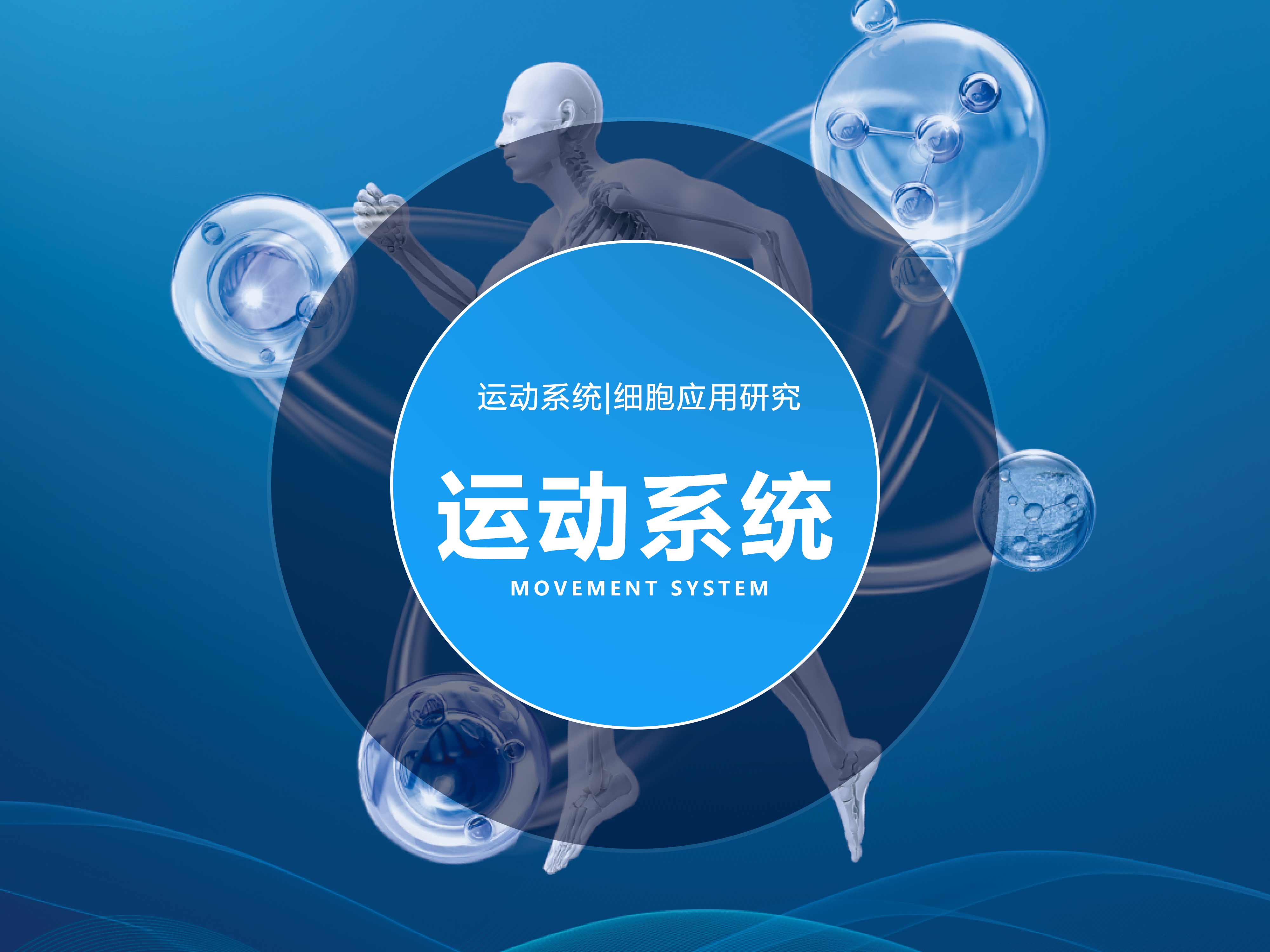 運(yùn)動系統(tǒng)|細(xì)胞應(yīng)用研究
